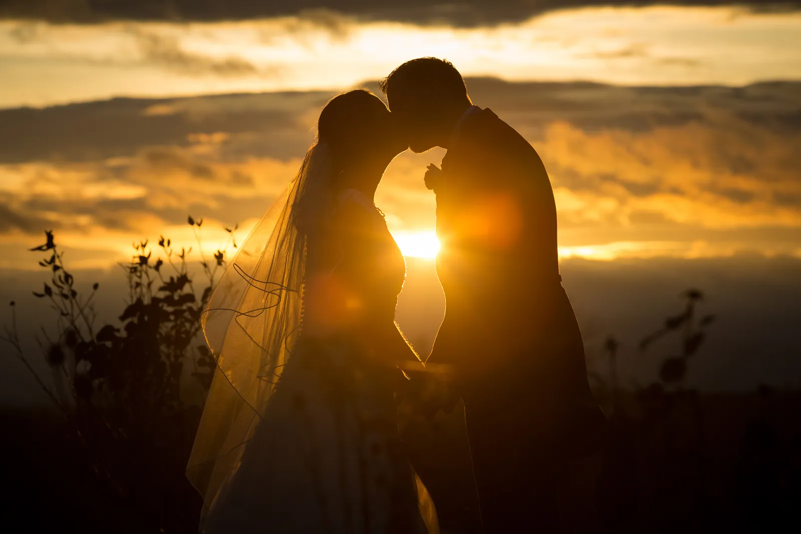 A kiss at sunset, wedding photography at Willington Hall Hotel, Chester