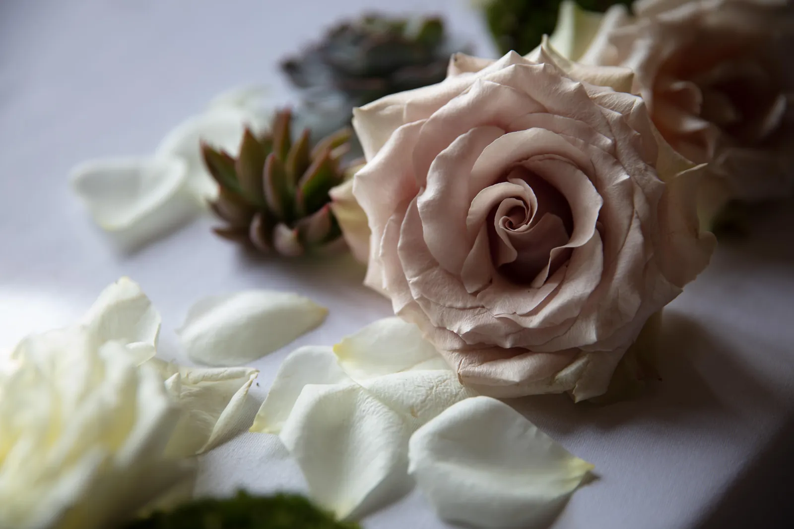 Sarah & John wedding at Inglewood Manor — photograph 4