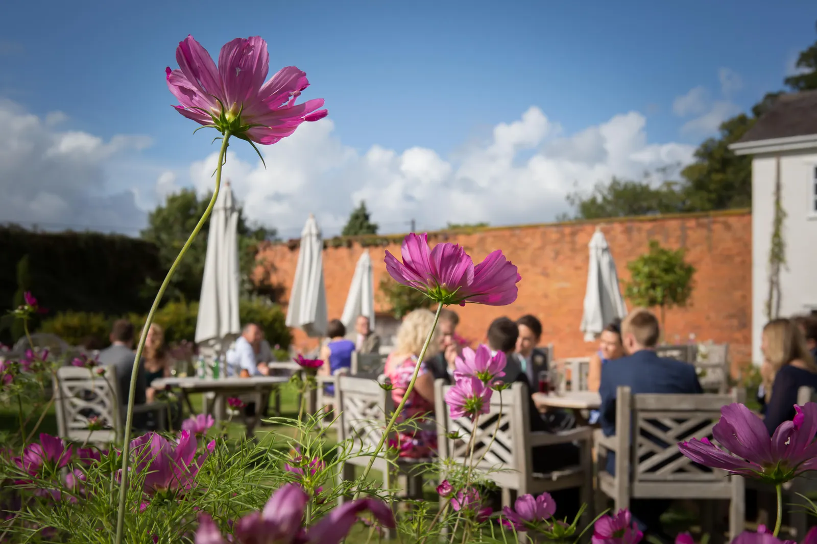Tanya & Ash wedding at Rowton Hall — photograph 73