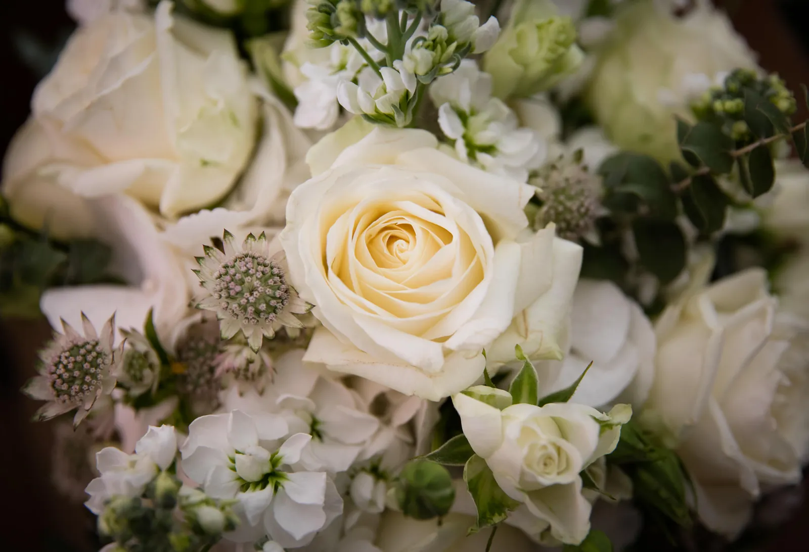 Debbie & Liam wedding at Thornton Manor — photograph 23
