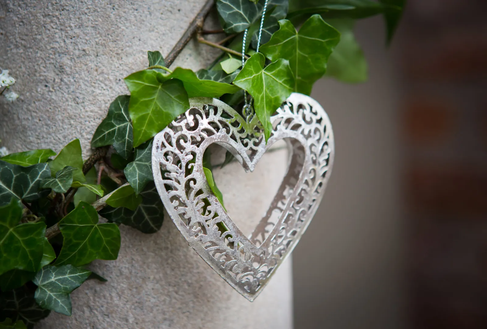 Emma & James wedding at Willington Hall — photograph 44